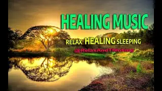 Tranquility Unveiled: Find Inner Calm with this Serene Video 4K #healing