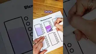 Comparing Lidl, Ohuhu and Chen Rui markers so you don't have to 💜 #alcoholmarkers #adultcoloring