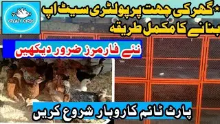 how to make poultry setup at home | گھر کی چھت پر پولٹری سیٹ اپ بنانے کا مکمل طریقہ