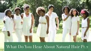 Naptural Hair Interviews: Comments Inside the Black Community