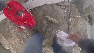 great sand bass at seal beach 05-19-18
