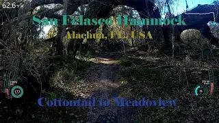 San Felasco Hammock | Cottontail to Meadowview | Alachua Florida Mountain Bike Riding | MTB