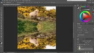 Water Reflections || Adobe Photoshop || Editing || Tutorial #photoshop