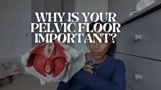 Why is your PELVIC FLOOR important? 