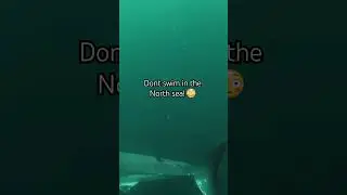 The North Sea Is Scary 😱 Pt 4
