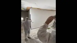 Безвоздушная покраска стен краской Caparol Premium Color