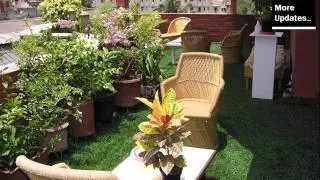 Artificial Grass Rooftop | Fake Grass Picture Collection