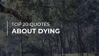 Top 20 Quotes about Dying | Most Famous Quotes | Inspirational Quotes