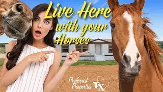 🏡 Dream Horse Property on 5 Acres in Stephenville TX | Currently off Market