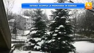 METEO ESTERO : SCOPPIA LA PRIMAVERA IN SIBERIA
