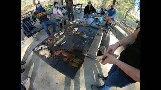 Wood decay fungi lab - NATL