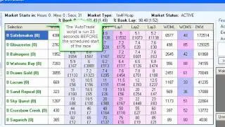 AutoTrade Your Way To Betfair Success - Automated Bet Placement