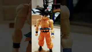goku's senzu beans
