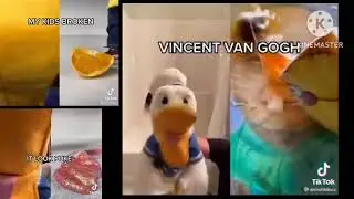 3 Donalducc screams