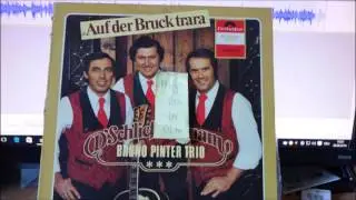 D SCHLIEFER BUAM  BRUNO PINTER TRIO 1981blumen HD