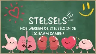 Hoe werken de stelsels in je lichaam samen?  | Het menselijk lichaam uitgelegd