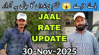 JAAL Rate Update | 30-Nov-2025 | Lalukhet Birds Market Latest Updates 2025 | Birds New Rates Update 
