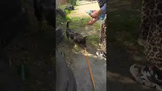 Pies ze schroniska dostał wodę&hellip; zobacz jego reakcję 💔🐶