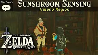 Sunshroom Sensing | Zelda, BOTW Side Quest Tutorial