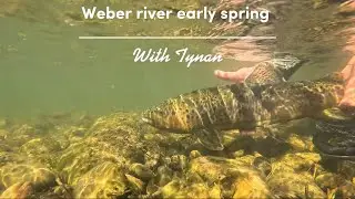 On the weber euro nymphing for big brown trout