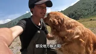 温度越来越热，不管在哪里三个小家伙还是这么粘人精