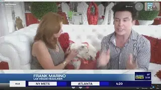Every pet adopted in July through the Nevada SPCA gets a special gift