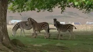The Bend Nottingham South Africa