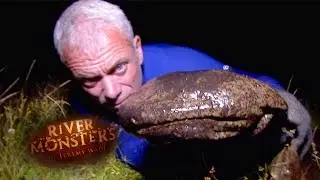The Hybrid Salamander That Eats Its Prey Alive | SALAMANDER | River Monsters