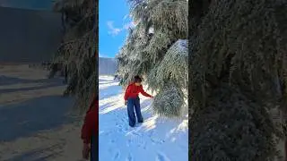 Quick scape! #unwind #nature #naturelovers  #stressrelief #snow #lebanonsnow #shortvideo #shorts