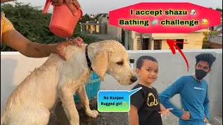 I accept shazu 🐶 bathing 🧼 challenge | saanu konjam rugged girl 👧 | #saanufam #saanvikashree