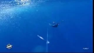 Davide Acone - Pesce spada traina d'altura - Swordfish