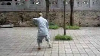 tong bei quan