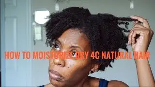 How To Moisturize DRY 4C Natural Hair