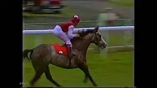 1987 Musidora Stakes Indian Skimmer