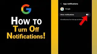 How to Turn Off Notifications on Google [NEW]