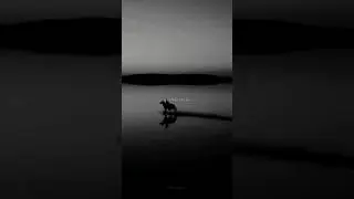 Avicii - The nights | lofi (lyrics) | these are the nights that never die | #avicii |
