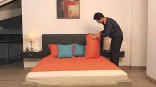 Bed Bug Control Service Demo