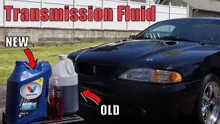 Transmission Fluid Change | 1998 Mustang Cobra (T45) [MANUAL TRANSMISSION]