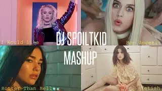 Zara Larsson X Dua Lipa X Katy Perry X Selena - I Would Like (DJ Spoiltkid Mashup) [Video]