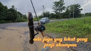 Janji xkumpau sahabat #haruan #haruanbabon #haruangabus 
