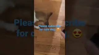 Cute dog wants her treat. 😍 #dog