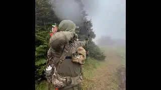 Total Archery Challenge Pico VT