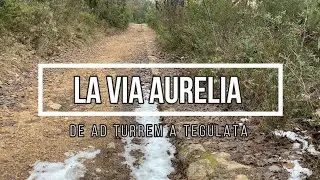VIA AURELIA de Ad Turrem a Tegulata