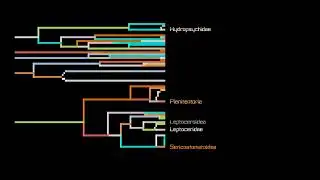 Phylogeny of caddisflies, 2024, pixel art