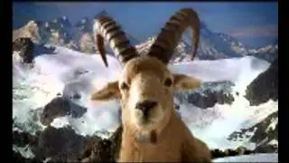 BOCK MAS AUN