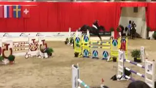 Herning Hingstek&aring;ring 2018 - Youngstertour - Fascination