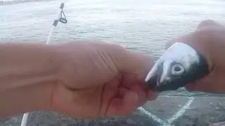 OB pier
