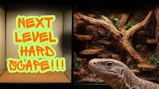 You've Never Seen a Savannah Monitor Enclosure Built Like This (Prt.2)