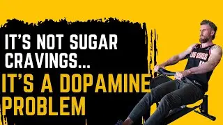 It's Not Sugar Cravings, It's a Dopamine Problem