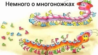 Кивсяки